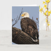 Mooie mama (Eagle) Kaart (Gele Bloem)