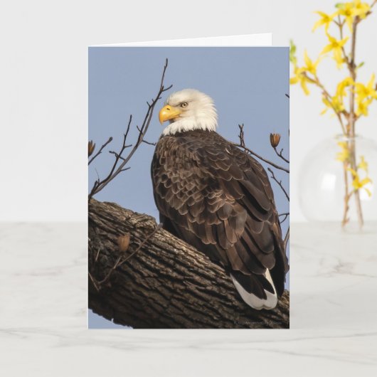 Mooie mama (Eagle) Kaart (Gele Bloem)