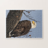 Mooie mama (Eagle) Legpuzzel (Horizontaal)