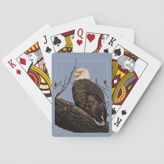 Mooie mama (Eagle) Pokerkaarten (Achterkant)