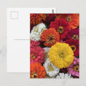 Mooie mama's briefkaart (Voorkant / Achterkant)