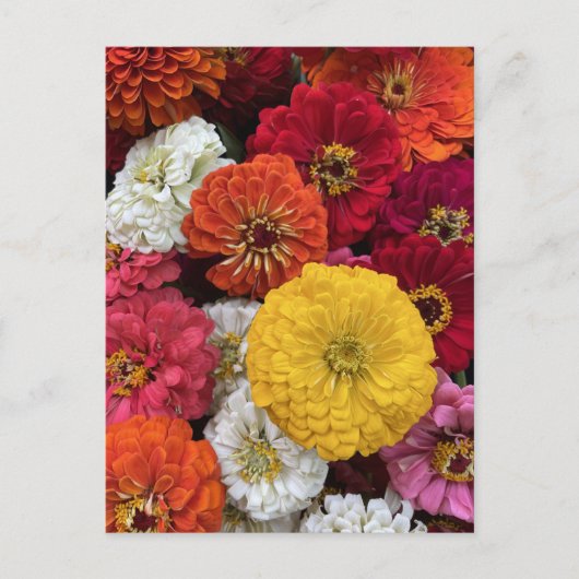 Mooie mama's briefkaart (Voorkant)