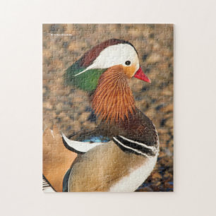 Mooie Mandarijns Duck op de Rocks Legpuzzel