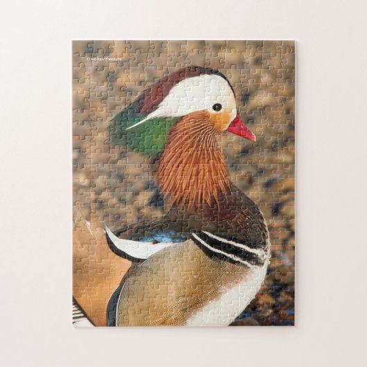 Mooie Mandarijns Duck op de Rocks Legpuzzel (Verticaal)