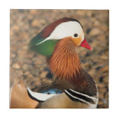 Mooie Mandarijns Duck op de Rocks Tegeltje (Voorkant)