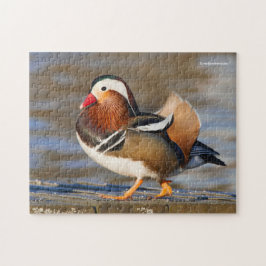 Mooie Mandarijns Duck op de stoep Legpuzzel