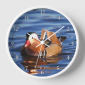 Mooie Mandarijnse Duck bij de Pond (Voorkant)