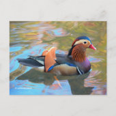 Mooie Mandarijnse Duck in de Pond Briefkaart (Voorkant)