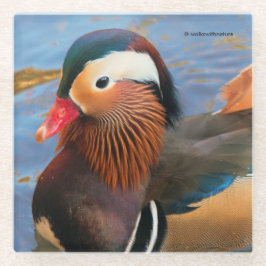 Mooie Mandarijnse Duck in de Pond Glazen Onderzetter