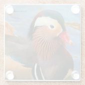 Mooie Mandarijnse Duck in de Pond Glazen Onderzetter (Achterkant)