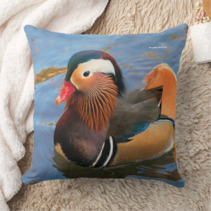 Mooie Mandarijnse Duck in de Pond Kussen