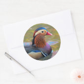 Mooie Mandarijnse Duck in de Pond Ronde Sticker (Envelop)
