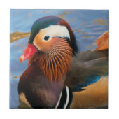Mooie Mandarijnse Duck in de Pond Tegeltje (Voorkant)