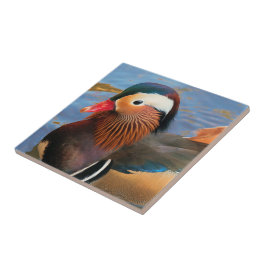 Mooie Mandarijnse Duck in de Pond Tegeltje