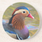 Mooie Mandarijnse Duck in de Pond Zandsteen Onderzetter (Voorkant)