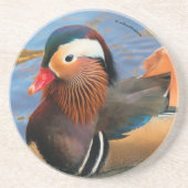 Mooie Mandarijnse Duck in de Pond Zandsteen Onderzetter (Voorkant)