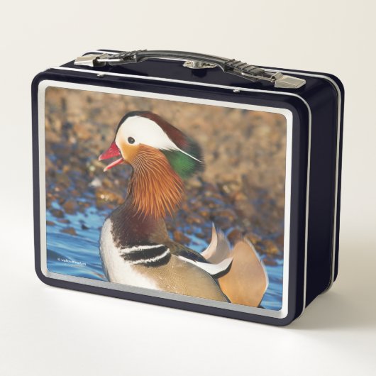 Mooie Mandarijnse eend bij de Pond (Achterkant)