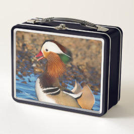 Mooie Mandarijnse eend bij de Pond