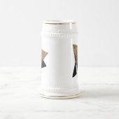 Mooie Mandarijnse eend bij de Pond Bierpul (Center)