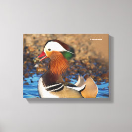 Mooie Mandarijnse eend bij de Pond Canvas Afdruk
