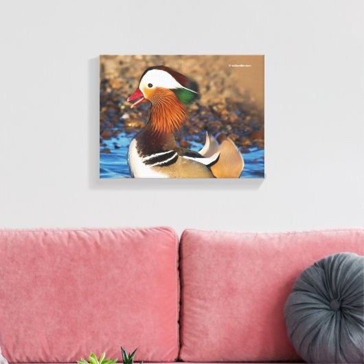 Mooie Mandarijnse eend bij de Pond Canvas Afdruk (Insitu (Woonkamer))