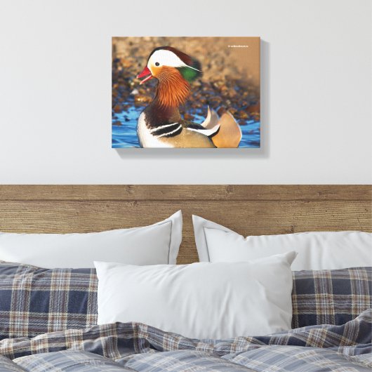 Mooie Mandarijnse eend bij de Pond Canvas Afdruk (Insitu (Slaapkamer))