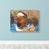 Mooie Mandarijnse eend bij de Pond Canvas Afdruk (Insitu (Houten vloer))