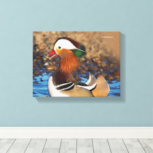 Mooie Mandarijnse eend bij de Pond Canvas Afdruk (Insitu (Houten vloer))