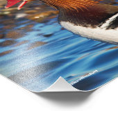 Mooie Mandarijnse eend bij de Pond Foto Afdruk (Hoek)