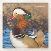 Mooie Mandarijnse eend bij de Pond Glazen Onderzetter (Voorkant)