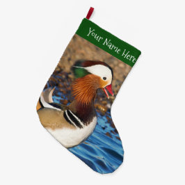 Mooie Mandarijnse eend bij de Pond Grote Kerstsok
