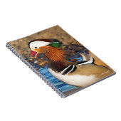 Mooie Mandarijnse eend bij de Pond Notitieboek (Rechterzijde)