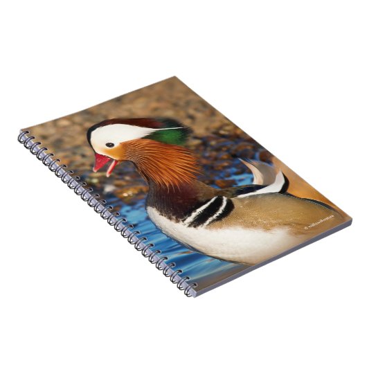 Mooie Mandarijnse eend bij de Pond Notitieboek (Rechterzijde)