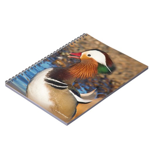 Mooie Mandarijnse eend bij de Pond Notitieboek (Linkerzijde)