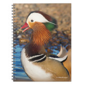 Mooie Mandarijnse eend bij de Pond Notitieboek (Voorkant)