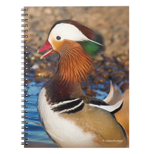 Mooie Mandarijnse eend bij de Pond Notitieboek (Voorkant)