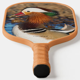 Mooie Mandarijnse eend bij de Pond Pickleball Paddle