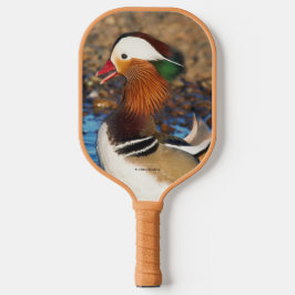 Mooie Mandarijnse eend bij de Pond Pickleball Paddle