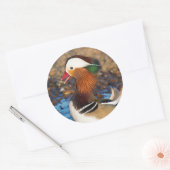 Mooie Mandarijnse eend bij de Pond Ronde Sticker (Envelop)
