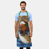 Mooie Mandarijnse eend bij de Pond Schort (Gedragen)