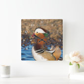 Mooie Mandarijnse eend bij de Pond Vierkante Klok (Huis)