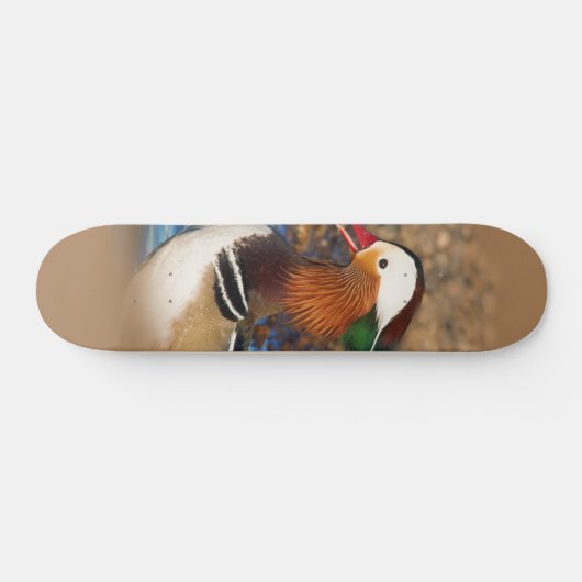 Mooie Mandarijnse eend op de Rocks Persoonlijk Skateboard (Horizontaal)