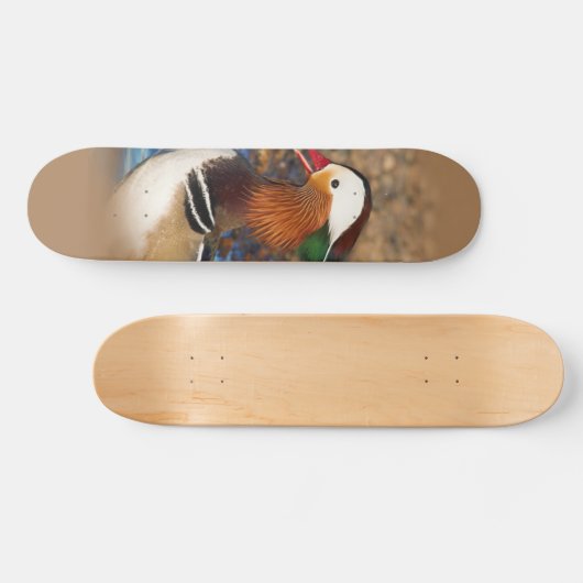 Mooie Mandarijnse eend op de Rocks Persoonlijk Skateboard (Horizontaal)