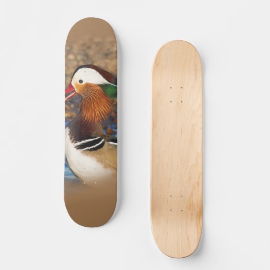 Mooie Mandarijnse eend op de Rocks Persoonlijk Skateboard (Voorkant)