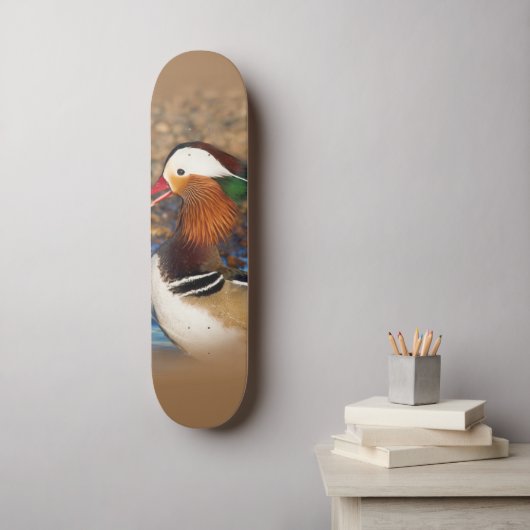 Mooie Mandarijnse eend op de Rocks Persoonlijk Skateboard (Muurkunst)