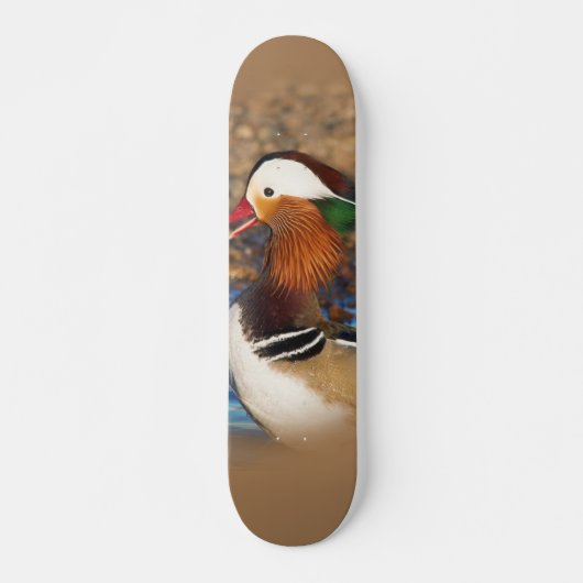 Mooie Mandarijnse eend op de Rocks Persoonlijk Skateboard (Voorkant)