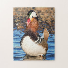 Mooie Mandarijnse eend op de Shore Legpuzzel