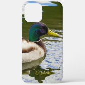 Mooie mannelijke Mallard Duck persoonlijke Case-Mate iPhone Case (Achterkant)