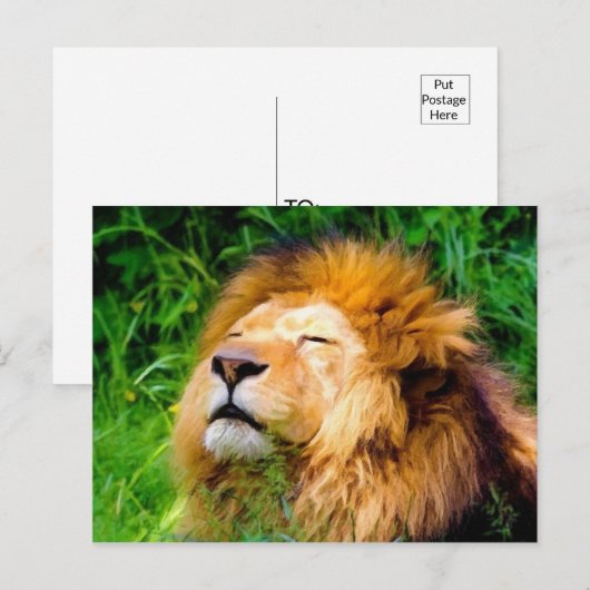 Mooie mannetjes met een Afrikaanse wildernis Briefkaart (Voorkant / Achterkant)