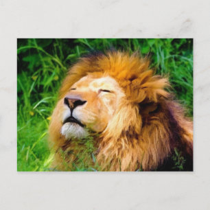 Mooie mannetjes met een Afrikaanse wildernis Briefkaart